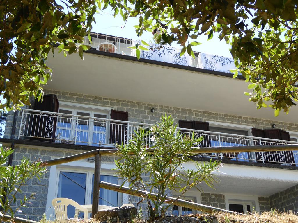 בית הארחה נואורו 	Casa Solotti מראה חיצוני תמונה